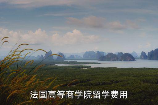 法國高等商學(xué)院留學(xué)費用