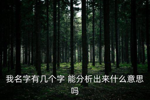 我名字有幾個(gè)字 能分析出來(lái)什么意思嗎