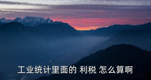 工業(yè)統(tǒng)計(jì)里面的 利稅 怎么算啊