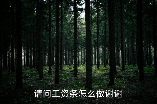 請(qǐng)問工資條怎么做謝謝