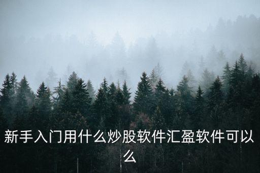 新手入門用什么炒股軟件匯盈軟件可以么