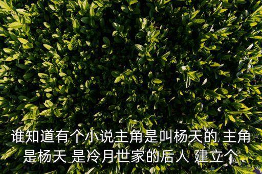 誰知道有個小說主角是叫楊天的 主角是楊天 是冷月世家的后人 建立個