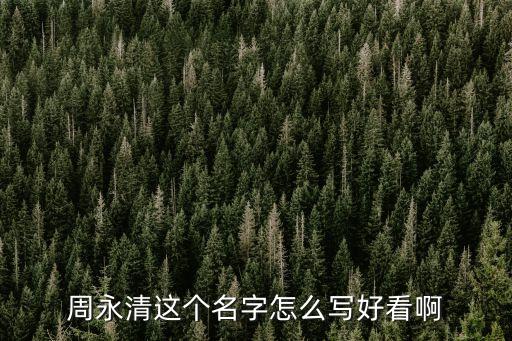 周永清這個名字怎么寫好看啊