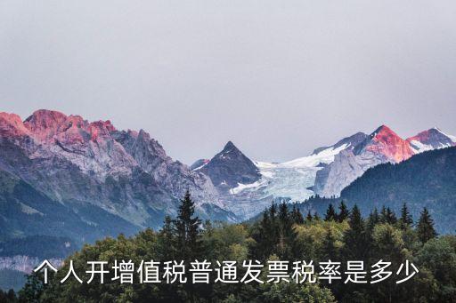個(gè)人增值稅，個(gè)人可以去稅務(wù)局代開(kāi)增值稅普通發(fā)票嗎