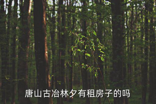 唐山古冶林夕有租房子的嗎