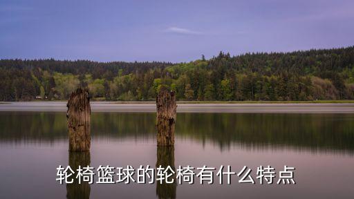 輪椅籃球，輪椅籃球的希望和未來是什么