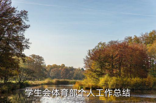 學(xué)生會體育部個人工作總結(jié)