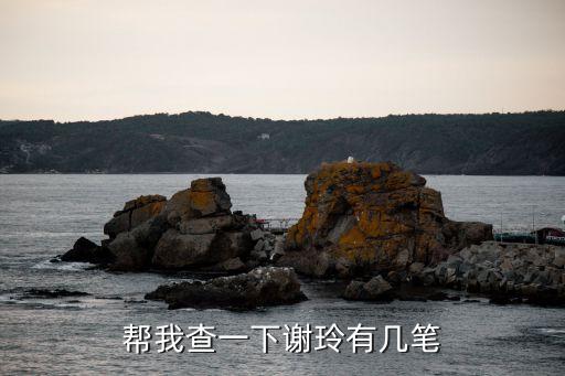 謝玲，金歐萊的老板是誰