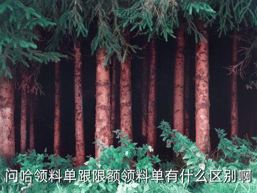 限額領(lǐng)料單，限額領(lǐng)料單按來源分屬于什么憑證