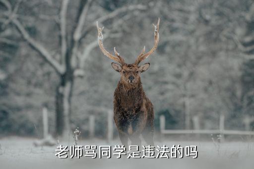 老師罵學生犯法嗎，老師罵學生犯法嗎
