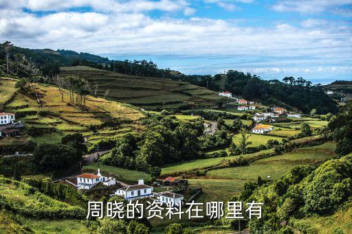周曉，周曉的資料在哪里有