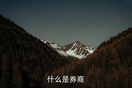 券商是什么，券商是什么意思