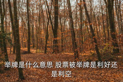 舉牌，舉牌是什么意思