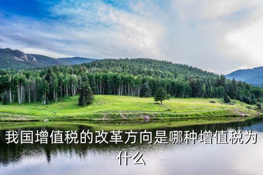 我國增值稅的改革方向是哪種增值稅為什么