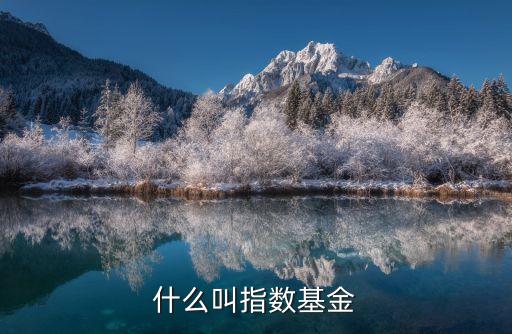 什么叫指數(shù)基金