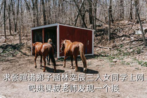 求張暄諾鄭子涵林奕辰三人女同學(xué)上網(wǎng)吧逃課被老師發(fā)現(xiàn)一個接