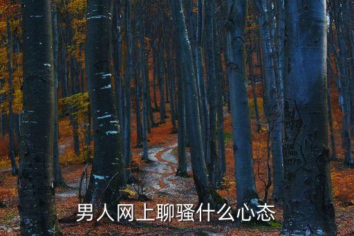 男人網(wǎng)上聊騷什么心態(tài)