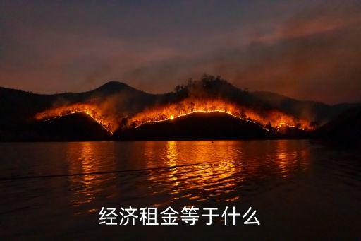 經(jīng)濟租，經(jīng)濟租怎么解釋