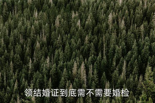 領(lǐng)結(jié)婚證到底需不需要婚檢