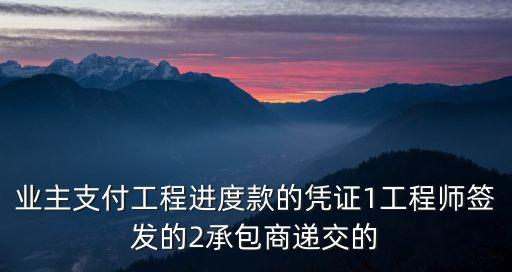 業(yè)主支付工程進度款的憑證1工程師簽發(fā)的2承包商遞交的