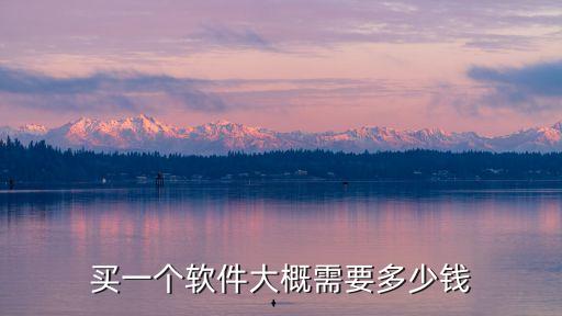 買一個(gè)軟件大概需要多少錢