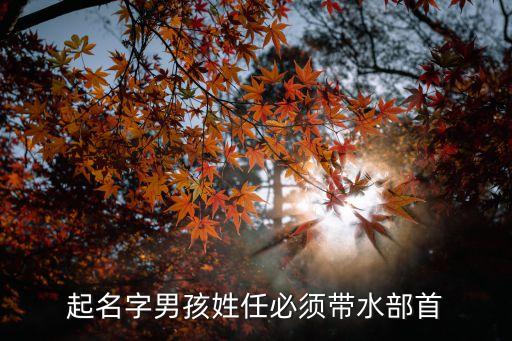 任國清，江淮汽車的任國歧是誰