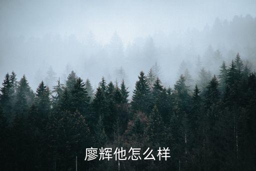 廖輝他怎么樣