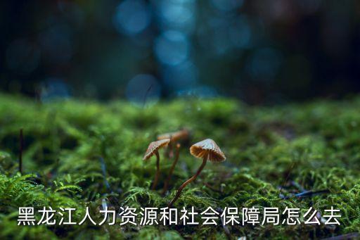 黑龍江人力資源和社會保障局怎么去