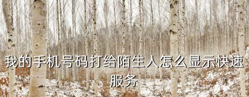 快服務(wù)，我的手機(jī)號(hào)碼打給陌生人怎么顯示快速服務(wù)