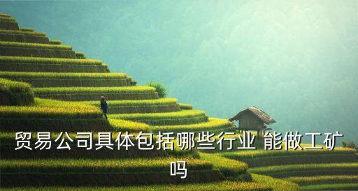 貿(mào)易公司具體包括哪些行業(yè) 能做工礦嗎