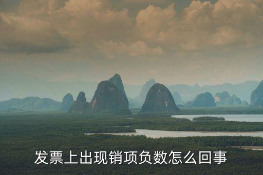 發(fā)票上出現(xiàn)銷項負數怎么回事