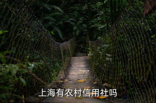 上海農(nóng)村，上海有農(nóng)村信用社嗎