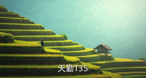 天勤T35