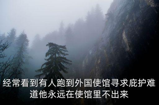 經(jīng)?？吹接腥伺艿酵鈬桂^尋求庇護難道他永遠在使館里不出來