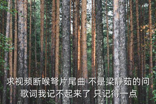 求視頻斷喉弩片尾曲 不是梁靜茹的問 歌詞我記不起來了 只記得一點