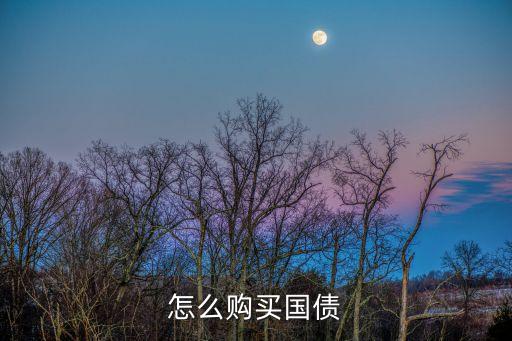 如何購買國債，怎么購買國債