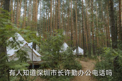 深圳市長熱線，深圳市長熱線可能市長接聽嗎怎樣才能直接聯(lián)系到深圳市長