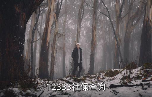 12333社保查詢