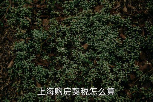 上海新房契稅，上海房產(chǎn)契稅如何征收