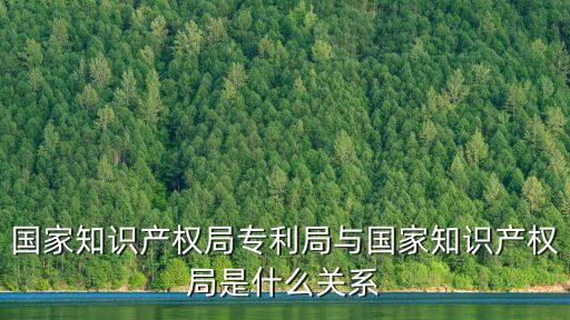 中國(guó)國(guó)家專利局，國(guó)家知識(shí)產(chǎn)權(quán)局專利局與國(guó)家知識(shí)產(chǎn)權(quán)局是什么關(guān)系