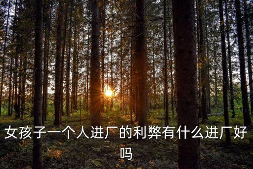 入廠，入廠考試簡單嗎