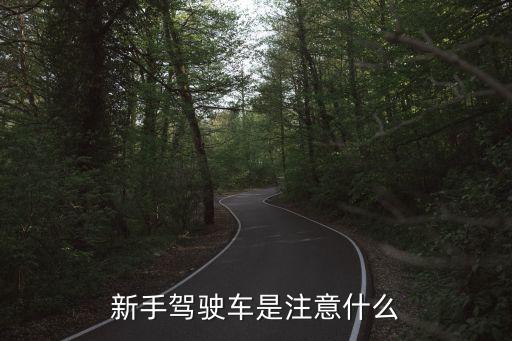 開(kāi)車車，如何駕駛汽車