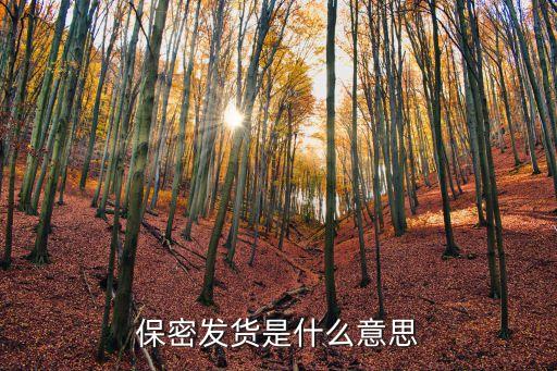 保密發(fā)貨，保密發(fā)貨是什么意思