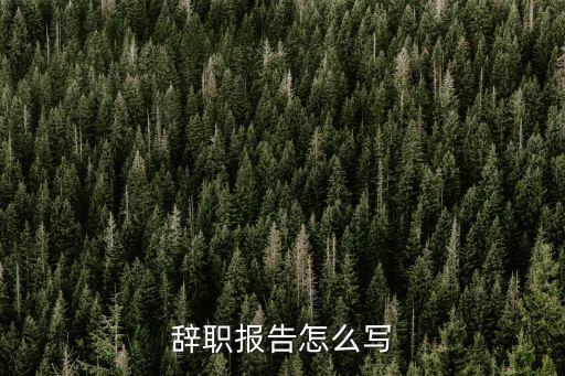 辭職報告申請書，辭職報告怎么寫