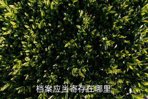 檔案存放地，檔案應(yīng)當(dāng)寄存在哪里