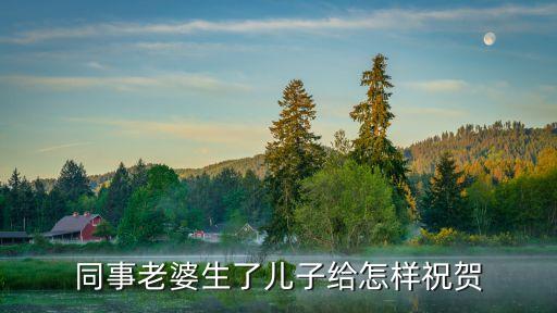 同事老婆生了兒子給怎樣祝賀