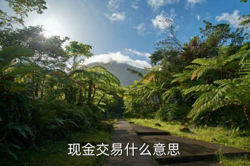 現(xiàn)金交易，現(xiàn)金交易是什么意思