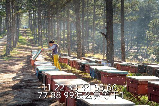 久久55，11 22 33 44 55 66 77 88 99怎么算等于1