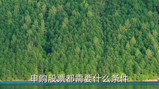 申購股票都需要什么條件