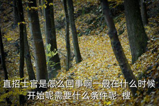 直招士官是怎么回事啊一般在什么時候開始呢需要什么條件呢  搜